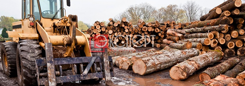 Сертификация в деревообрабатывающей промышленности