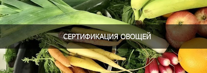 Сертификация овощей в РФ